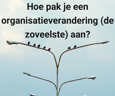 organisatieverandering