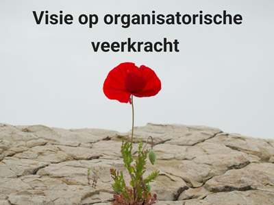 organisatorische veerkracht